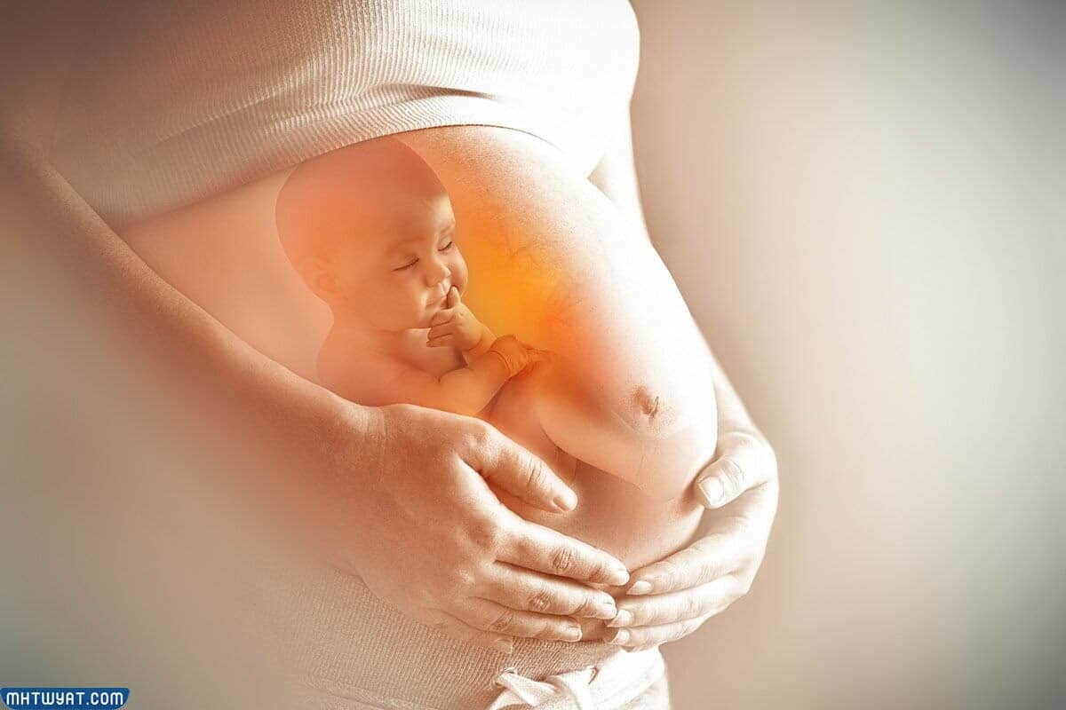 حركة الجنين عند المثانة ونوع الجنين