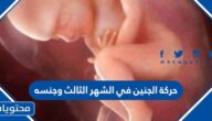 حركة الجنين في الشهر الثالث وجنسه