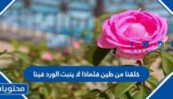 خلقنا من طين فلماذا لا ينبت الورد فينا
