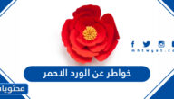 خواطر عن الورد الاحمر مكتوب وبالصور