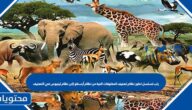 رتب تسلسل تطور نظام تصنيف المخلوقات الحية من نظام أرسطو إلى نظام لينيوس في التصنيف