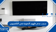 سبب عدم ظهور الصورة في التلفزيون
