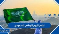صور اعلام اليوم الوطني السعودي 95