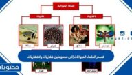 قسم العلماء الحيوانات إلى مجموعتين فقاريات ولافقاريات