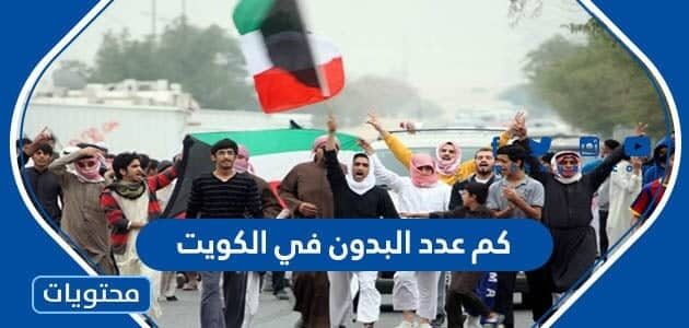 كم عدد البدون في الكويت 2025