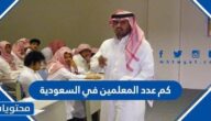 كم عدد المعلمين في السعودية 2025