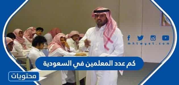 كم عدد المعلمين في السعودية 2024