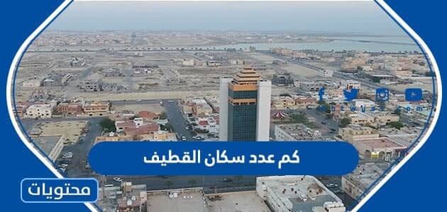 كم عدد سكان القطيف 2025