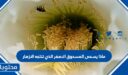 ماذا يسمى المسحوق الاصفر الذي تنتجه الازهار