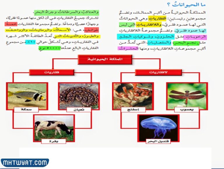 مطوية علوم رابع تصنيف المخلوقات الحية محتوى