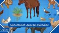 مطوية علوم رابع تصنيف المخلوقات الحية