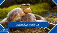 هل الثعبان من الفقاريات