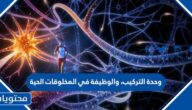 وحدة التركيب، والوظيفة في المخلوقات الحية