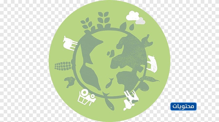 صور يوم الغذاء العالمي png بجودة عالية