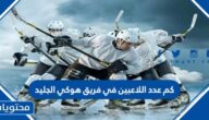 كم عدد اللاعبين في فريق هوكي الجليد