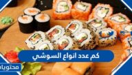كم عدد انواع السوشي