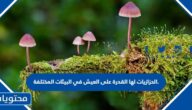الحزازيات لها القدرة على العيش في البيئات المختلفة.