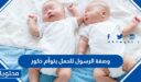 وصفة الرسول للحمل بتوأم ذكور