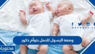 وصفة الرسول للحمل بتوأم ذكور