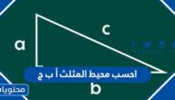 احسب محيط المثلث أ ب ج