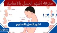 حساب اشهر الحمل بالاسابيع والايام