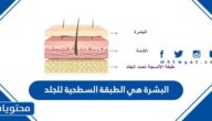 البشرة هي الطبقة السطحية للجلد