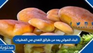البناء الضوئي يعد من طرائق التغذي في الفطريات