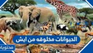 الحيوانات مخلوقه من ايش