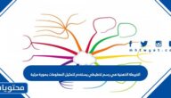 الخريطة الذهنية هي رسم تخطيطي يستخدم لتمثيل المعلومات بصورة مرئية