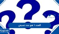 العدد ٦ هو عدد نسبي