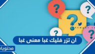 ان تزر فليك غبا معنى غبا