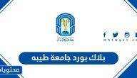 تسجيل دخول بلاك بورد جامعة طيبه 1447