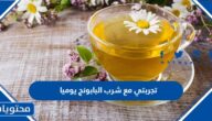تجربتي مع شرب البابونج يوميا