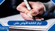 تركز الكتابة الأولى على