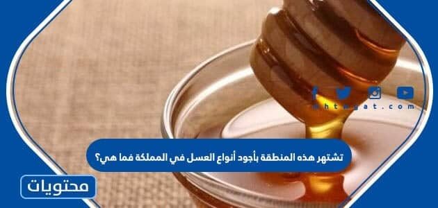 تشتهر هذه المنطقة بأجود أنواع العسل في المملكة فما هي؟
