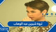 كم تبلغ ثروة شيرين عبد الوهاب 2025