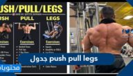 جدول push pull legs كامل وجاهز