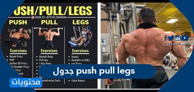 جدول push pull legs كامل وجاهز