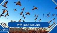جدول هجرة الطيور 1446