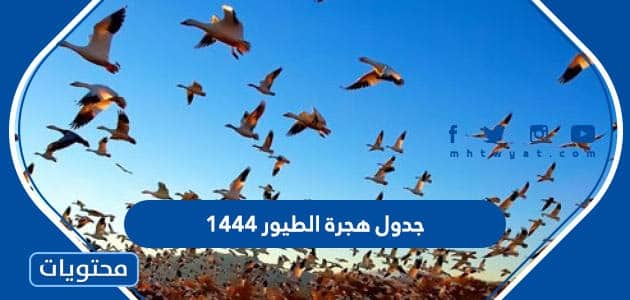 جدول هجرة الطيور 1444