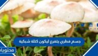 جسم فطري يتفرع ليكون كتلة شبكية