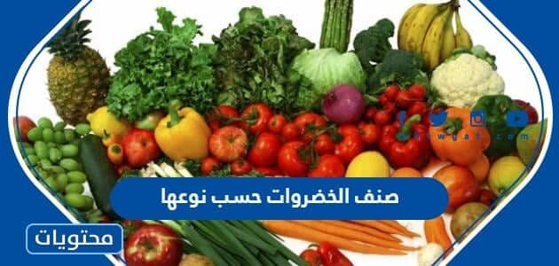 صنف الخضروات حسب نوعها