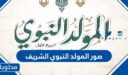 صور المولد النبوي الشريف .. صور وعبارات وتهنئة بمناسبة المولد النبوي 1448