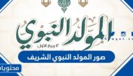 صور المولد النبوي الشريف .. صور وعبارات وتهنئة بمناسبة المولد النبوي 1447