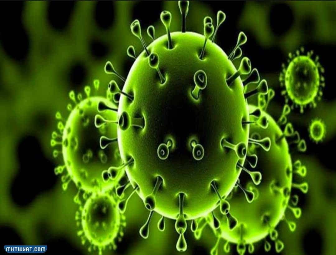 طرق العدوى بفيروس كورونا xxb