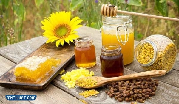 طريقة خلط غذاء ملكات النحل مع العسل