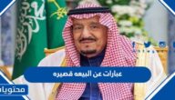 عبارات عن البيعه قصيره مكتوبة للملك سلمان 1446