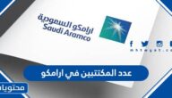كم عدد المكتتبين في ارامكو 2022