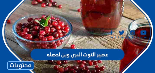 عصير التوت البري وين احصله في السعودية مع الاسعار