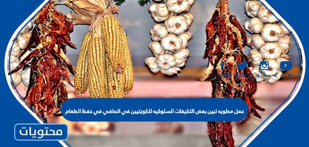 عمل مطويه تبين بعض التكيفات السلوكيه للكويتيين في الماضي في حفظ الطعام